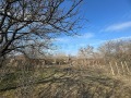 Продава КЪЩА, област Варна, с. Червенци • 15000 € • 98279174 — Holmes.bg