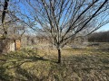 Продава КЪЩА, област Варна, с. Червенци • 15000 € • 98279174 — Holmes.bg