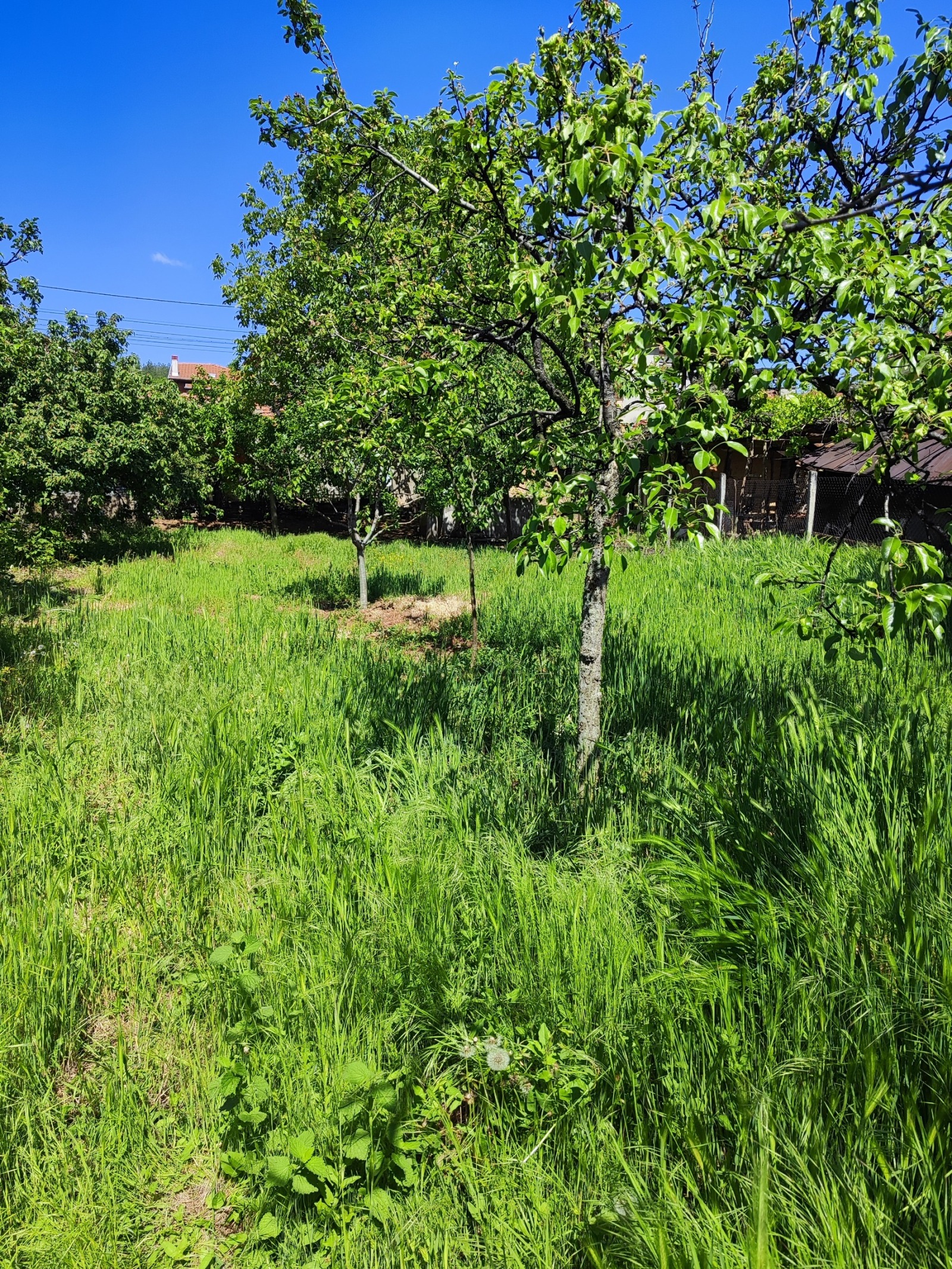 ������� ���� | Imot.bg � ����������� 6