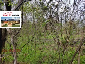 Продажба на имоти в с. Методиево, област Добрич - изображение 7 