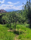 Продава КЪЩА, област Благоевград, с. Покровник • 80000 € • 78850278 1