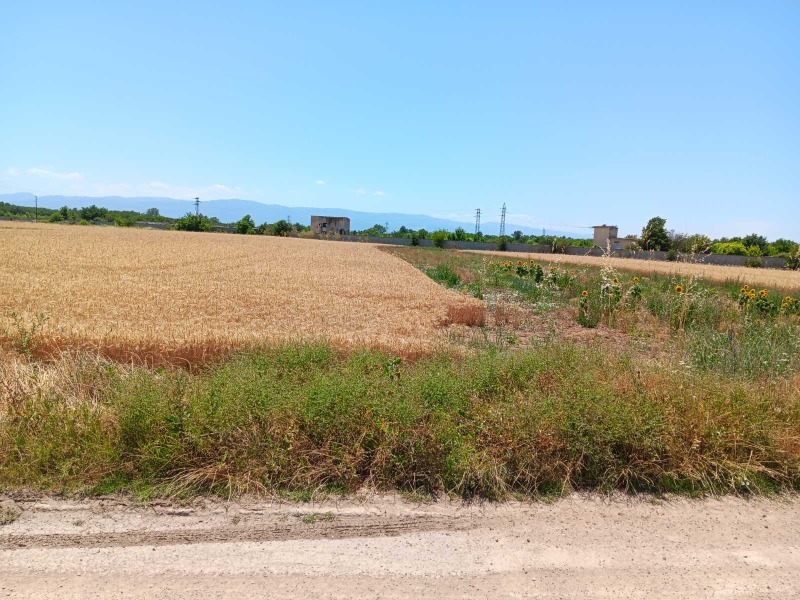 Продава  Парцел област Пловдив , с. Маноле , 3000 кв.м | 71206920 - изображение [3]