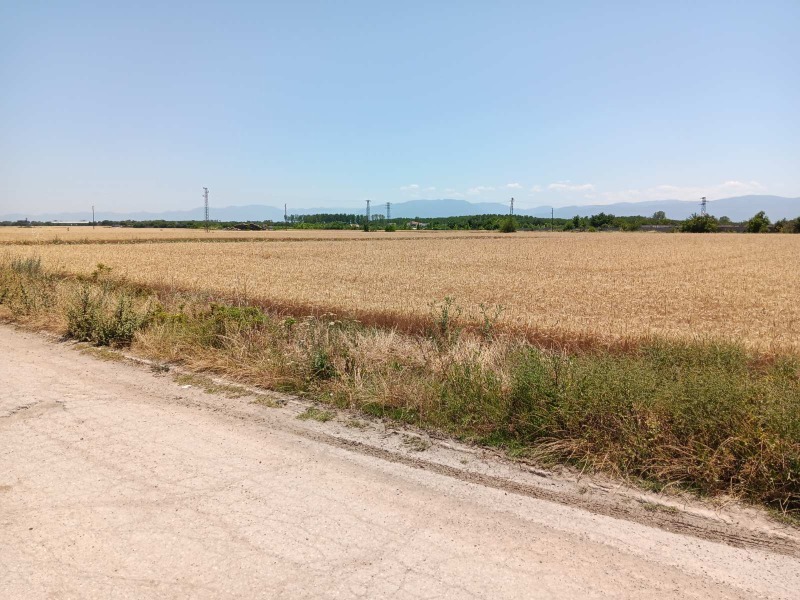 Продава  Парцел област Пловдив , с. Маноле , 3000 кв.м | 71206920 - изображение [2]