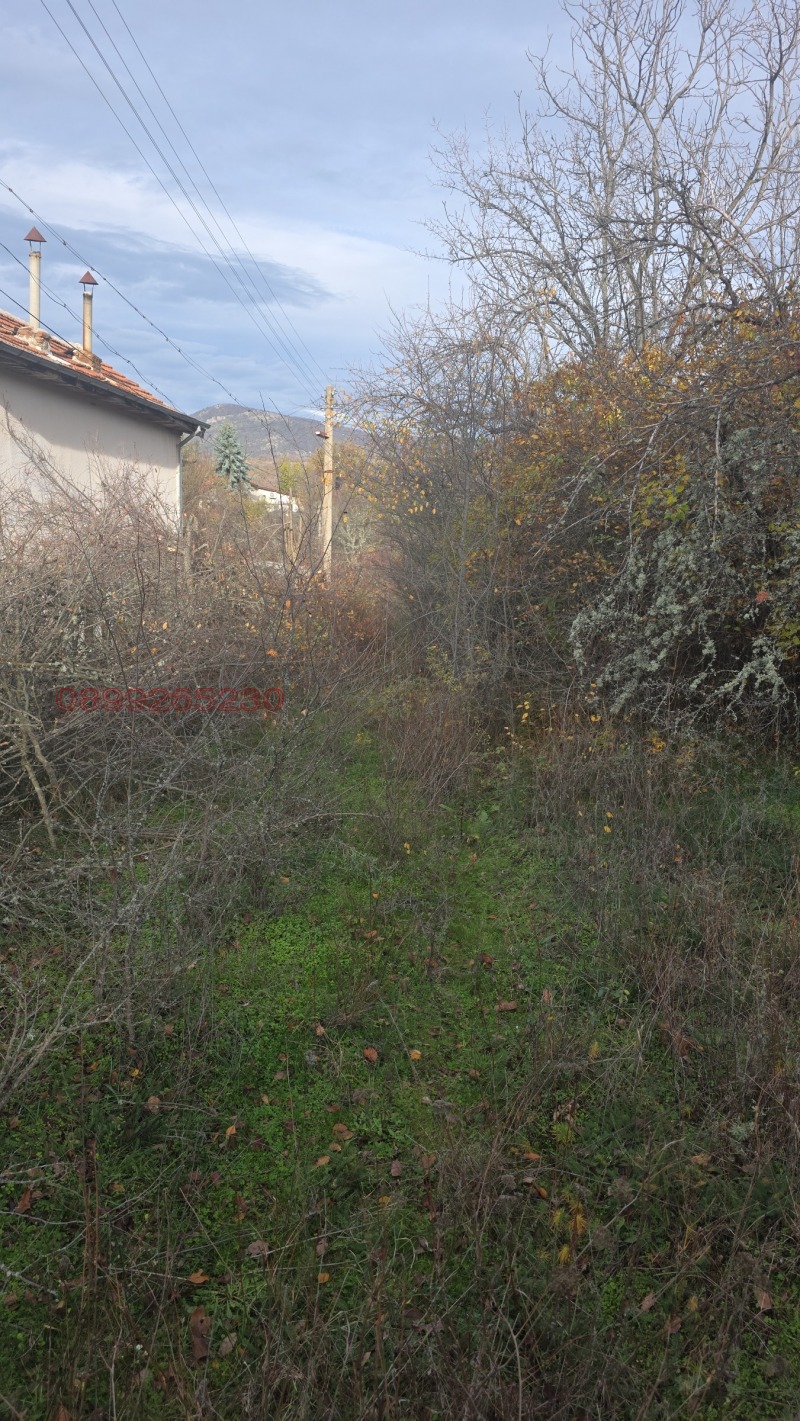 Продава ПАРЦЕЛ, с. Отец Паисиево, област Пловдив, снимка 6 - Парцели - 53028558