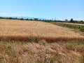 Продава ПАРЦЕЛ, с. Маноле, област Пловдив, снимка 3