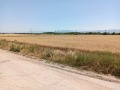 Продава ПАРЦЕЛ, област Пловдив, с. Маноле • 60000 € • 44502098 — Holmes.bg