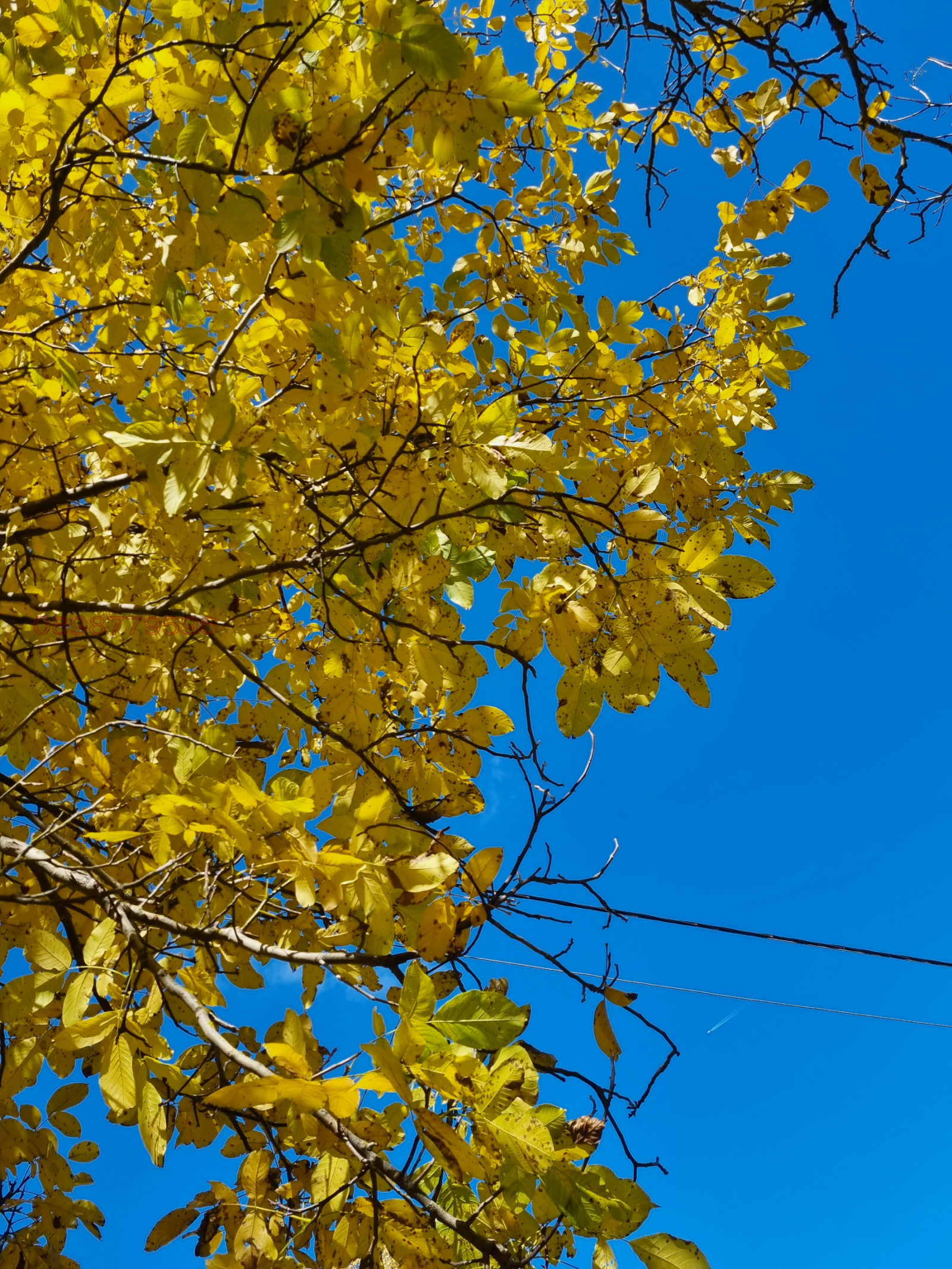 ������� ���� | Imot.bg � ����������� 4