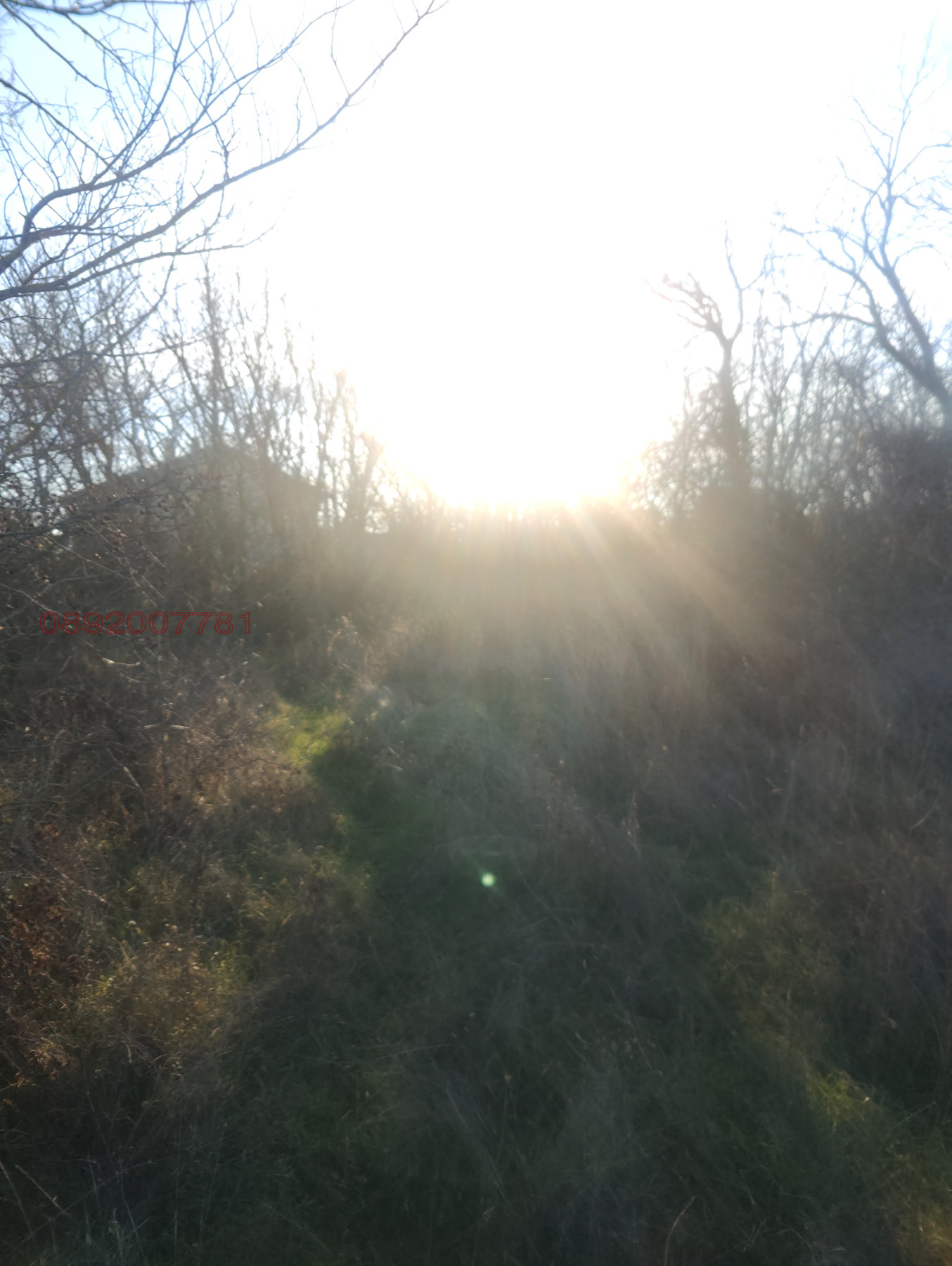 ������� ������ | Imot.bg � ����������� 8