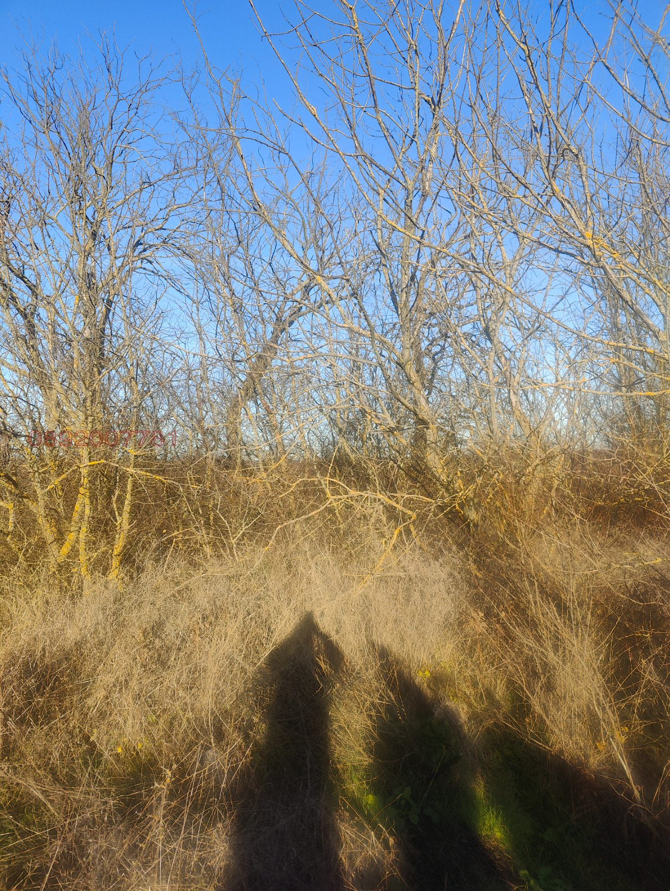 ������� ������ | Imot.bg � ����������� 3