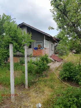 ����� ������� ����,���� ������, �-�� �������