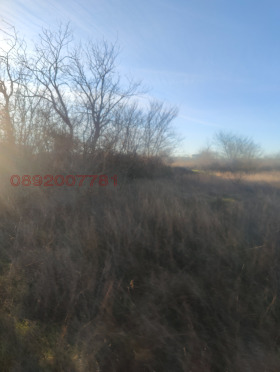 ������� ������ | Imot.bg � ����� ������ 7