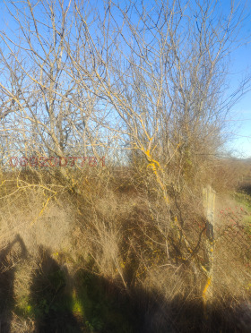 ������� ������ | Imot.bg � ����� ������ 2