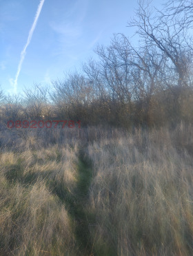 ������� ������ | Imot.bg � ����� ������ 4