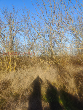 ������� ������ | Imot.bg � ����� ������ 3