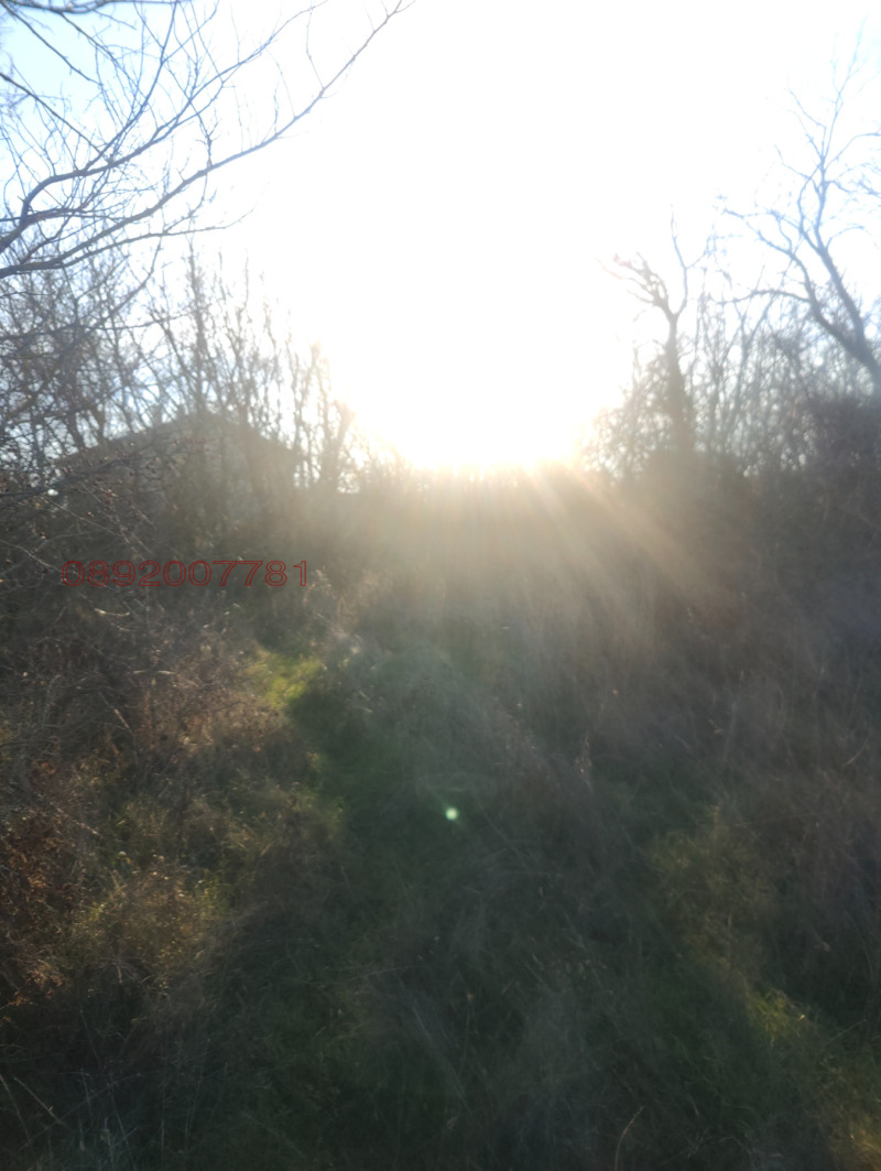 Продава ПАРЦЕЛ, с. Кичево, област Варна, снимка 8 - Парцели - 52824605