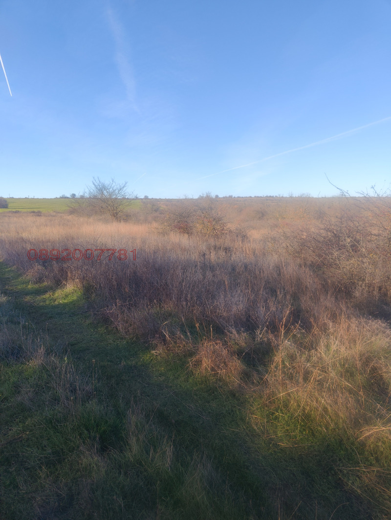 Продава ПАРЦЕЛ, с. Кичево, област Варна, снимка 6 - Парцели - 52824605