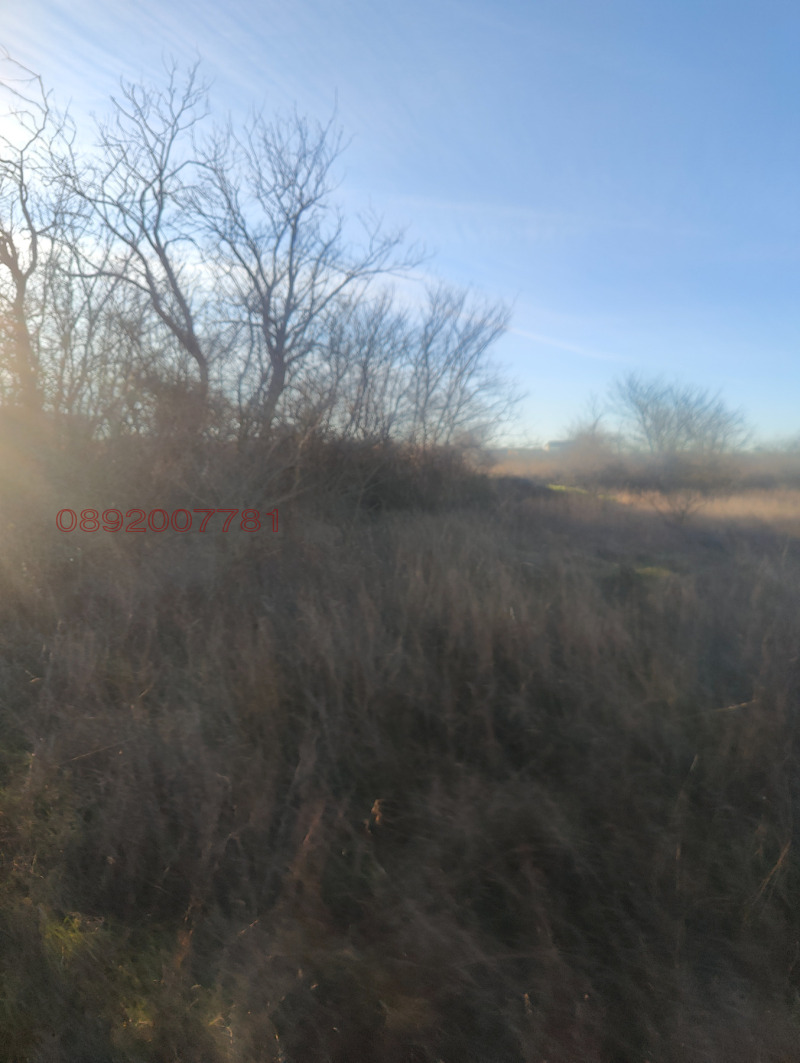 Продава ПАРЦЕЛ, с. Кичево, област Варна, снимка 7 - Парцели - 52824605