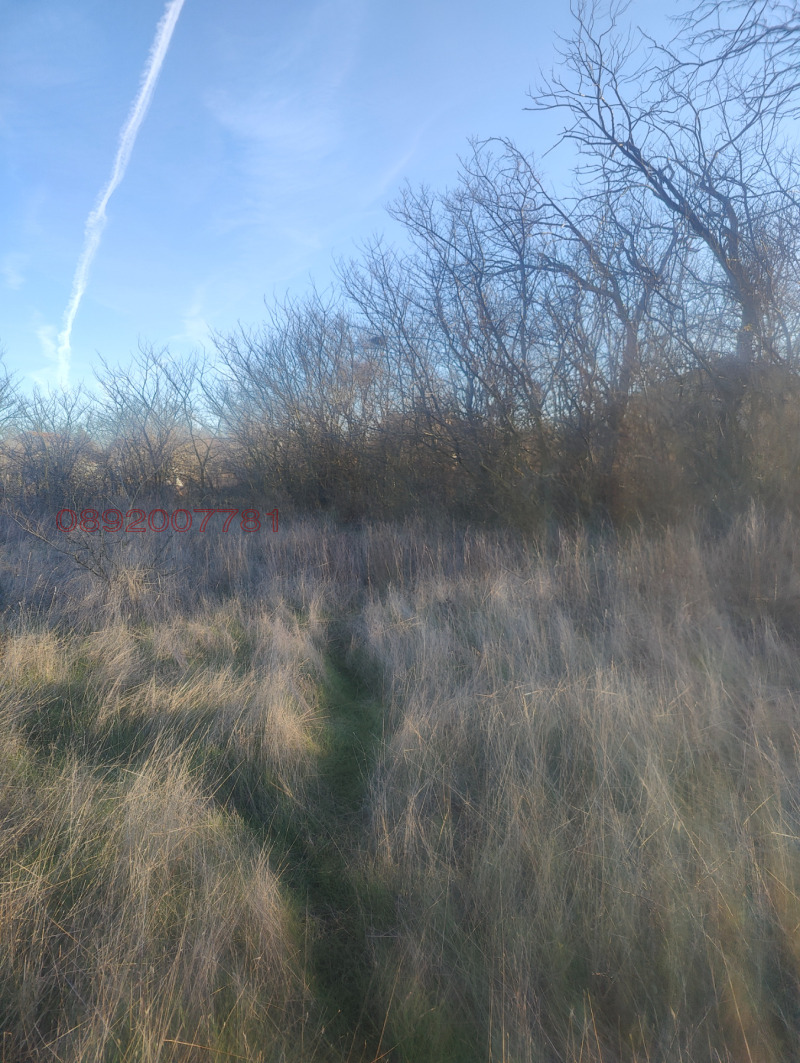 Продава ПАРЦЕЛ, с. Кичево, област Варна, снимка 4 - Парцели - 52824605