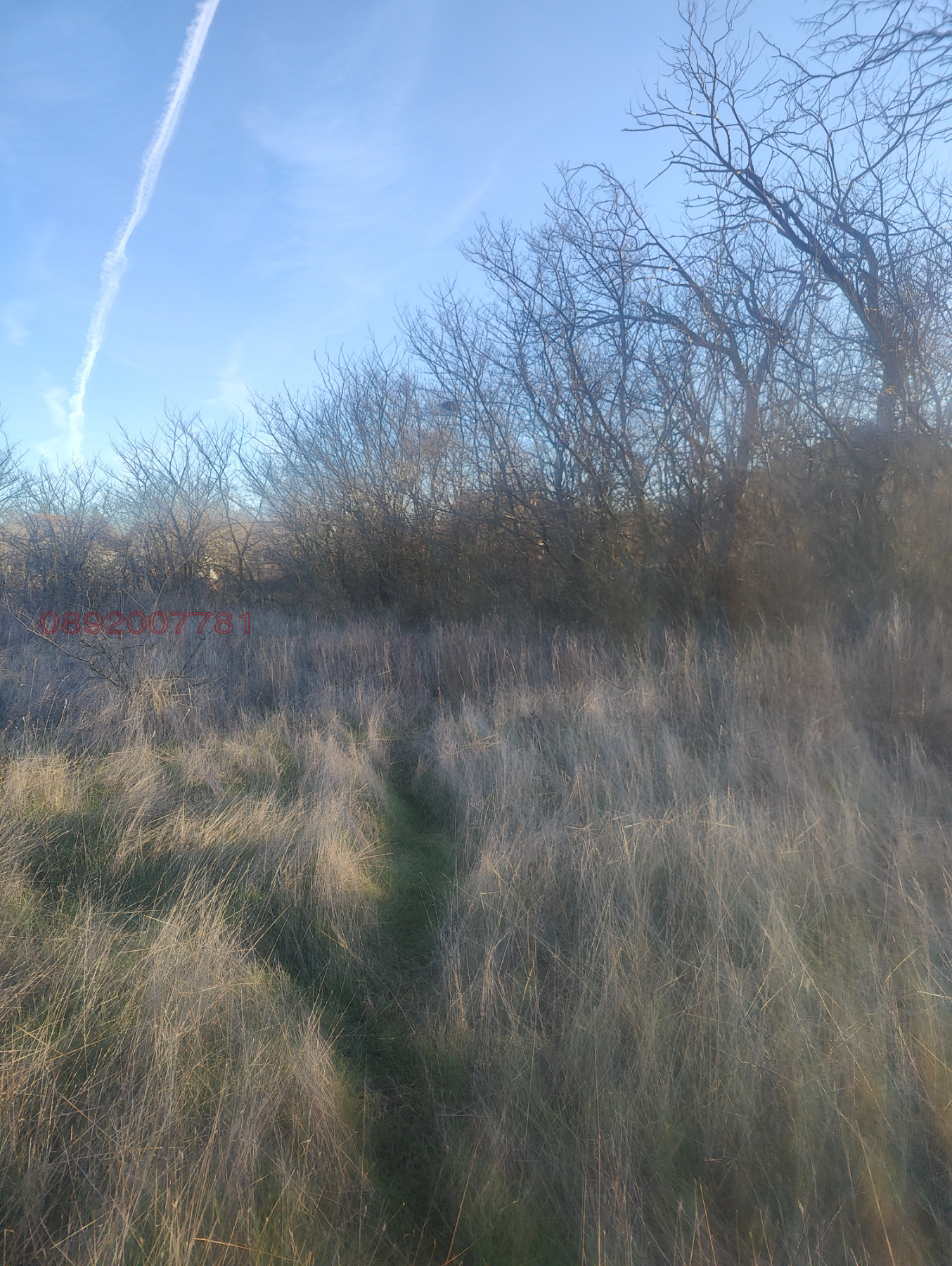 Продава ПАРЦЕЛ, с. Кичево, област Варна, снимка 4 - Парцели - 53947989