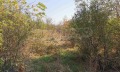 Продава ПАРЦЕЛ, област Видин, с. Ново село • 24000 € • 93074707 6