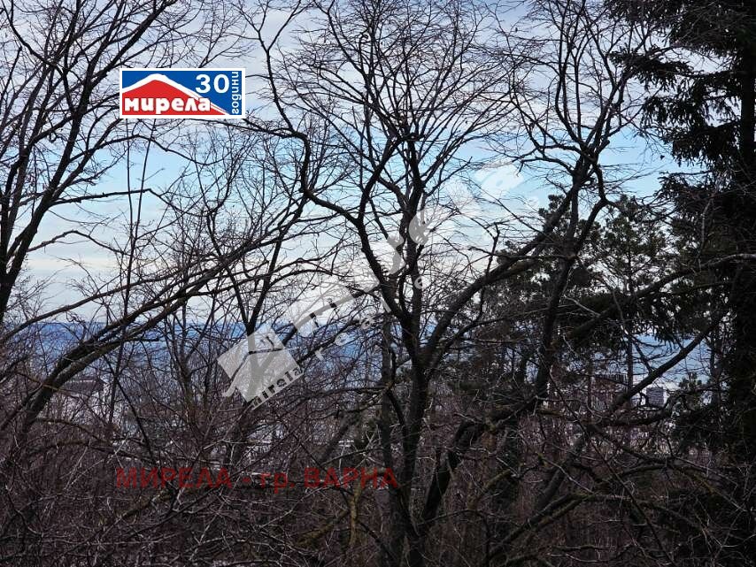 ������� 2-����� | Imot.bg � ����������� 12