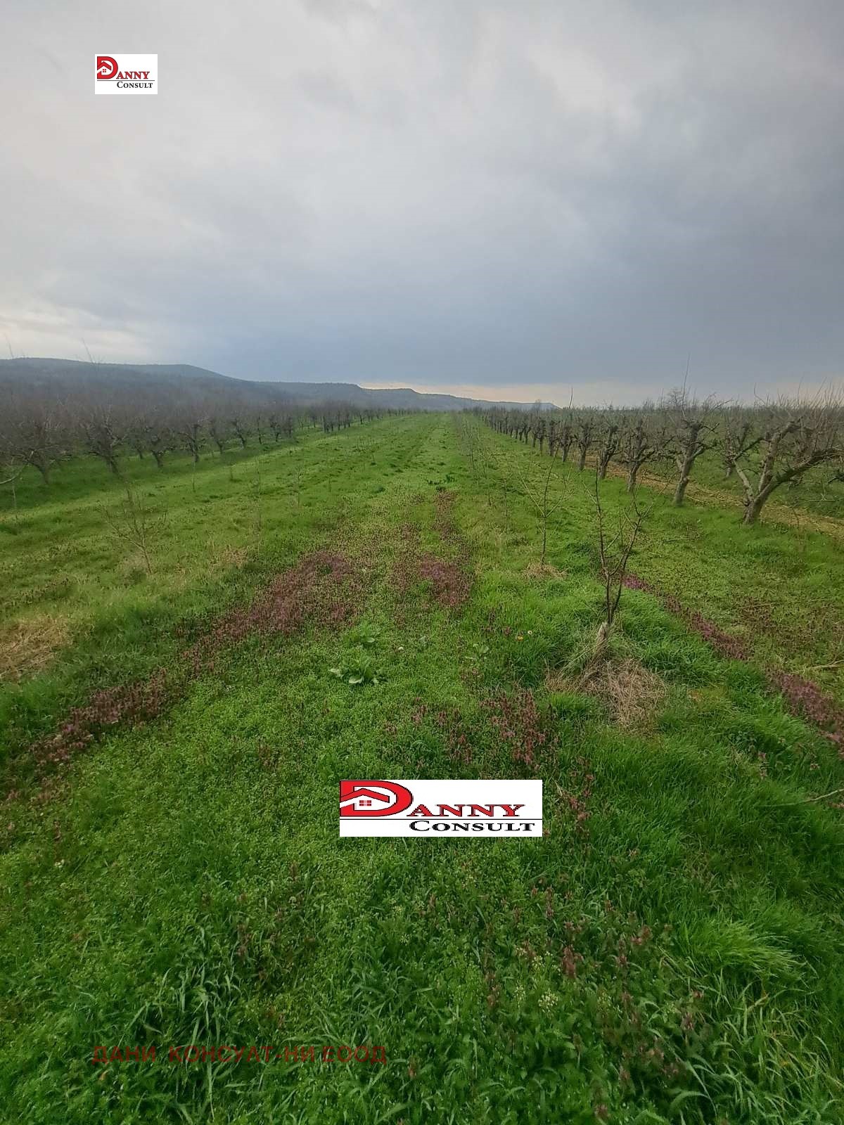 ������� ���������� ���� | Imot.bg � ����������� 12