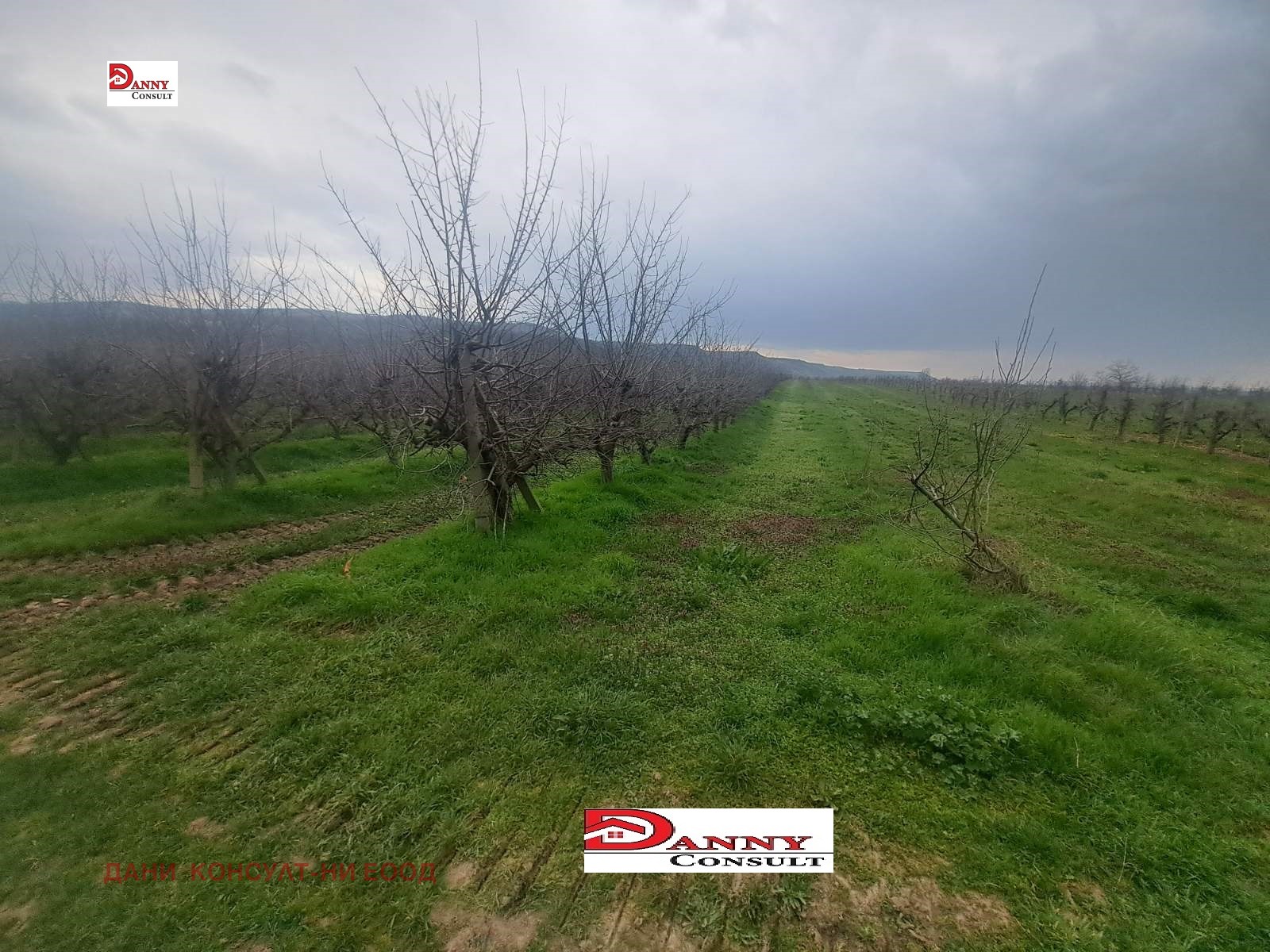 ������� ���������� ���� | Imot.bg � ����������� 7