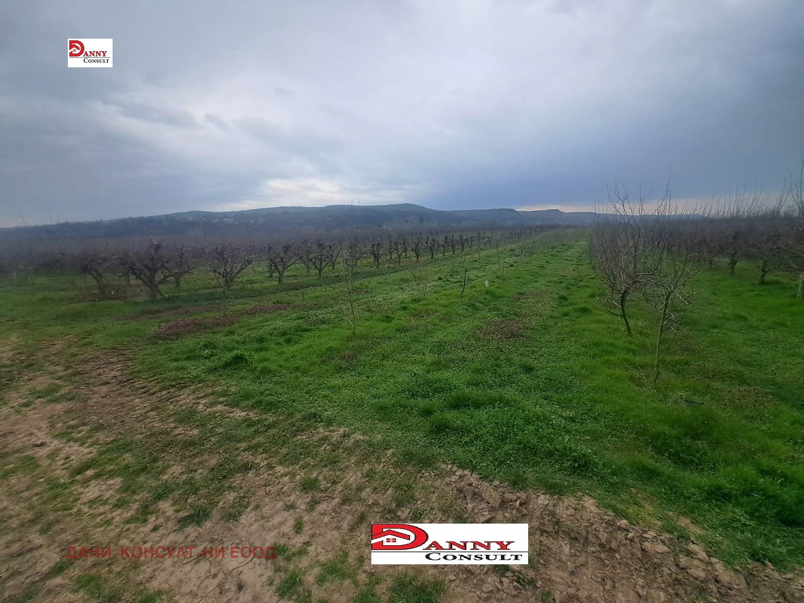 ������� ���������� ���� | Imot.bg � ����������� 6