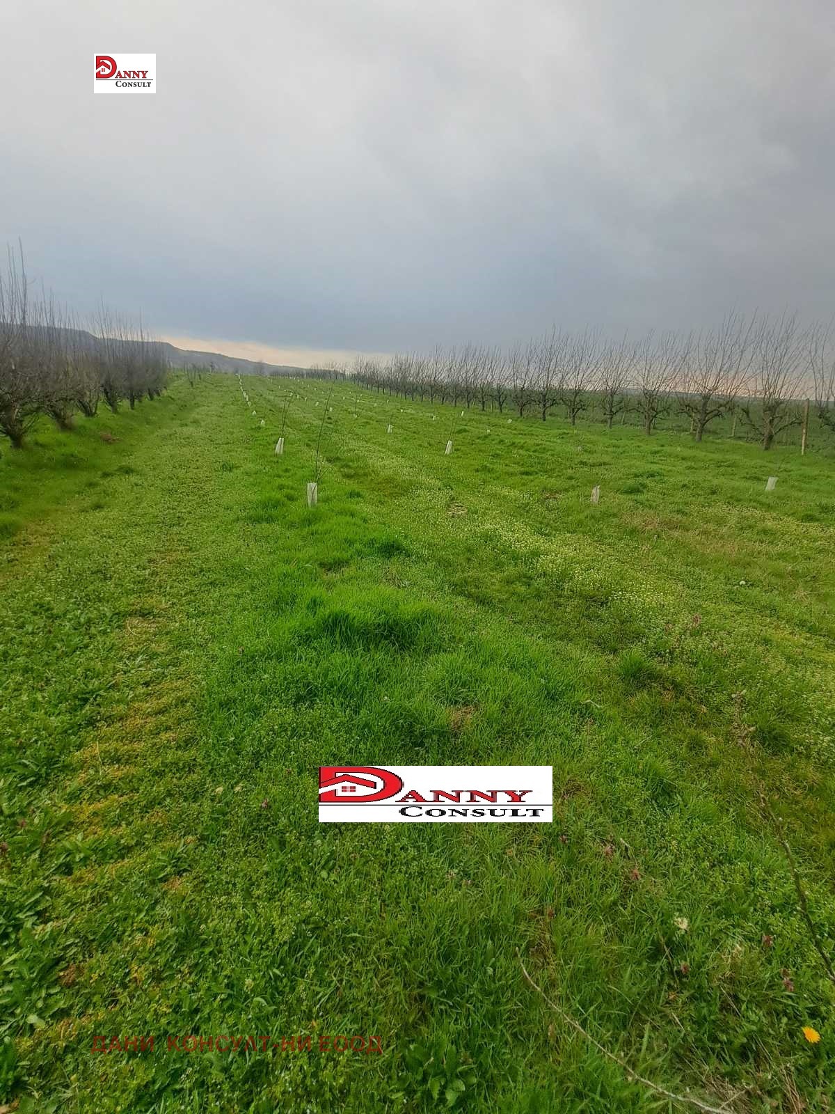 ������� ���������� ���� | Imot.bg � ����������� 10