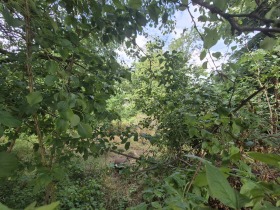 ������� ������ | Imot.bg � ����� ������ 5