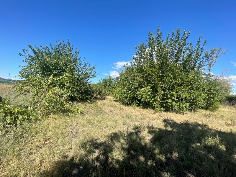 À venda  Terra região Plovdiv , Skutare , 2.232 tudo bem | 24294881 - imagem [3]