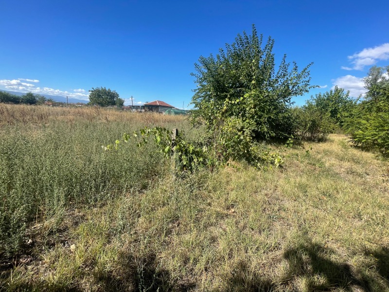 À venda  Terra região Plovdiv , Skutare , 2.232 tudo bem | 24294881 - imagem [4]
