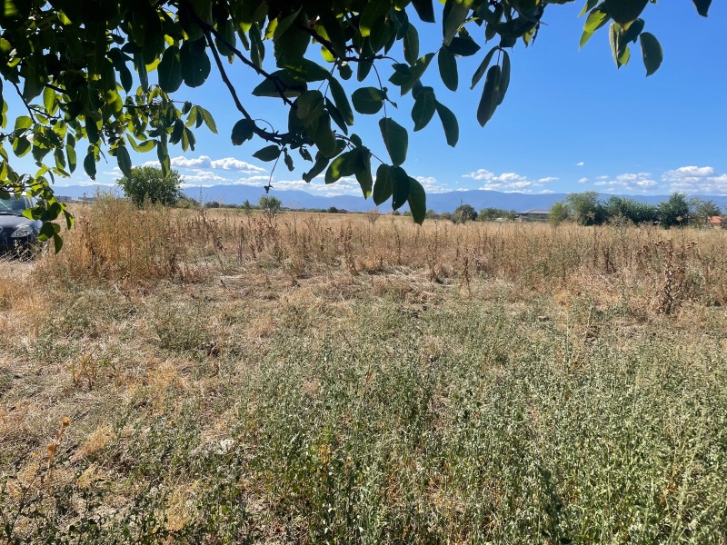 À venda  Terra região Plovdiv , Skutare , 2.232 tudo bem | 24294881 - imagem [2]