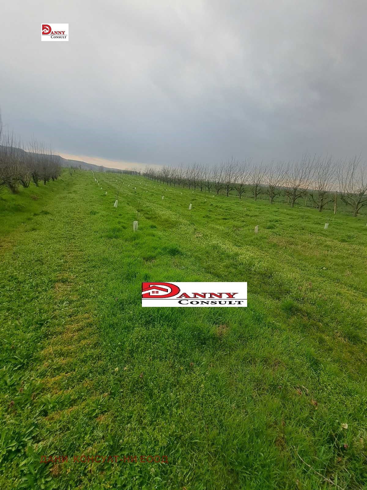 Продава ЗЕМЕДЕЛСКА ЗЕМЯ, с. Раданово, област Велико Търново, снимка 11 - Земеделска земя - 54143619