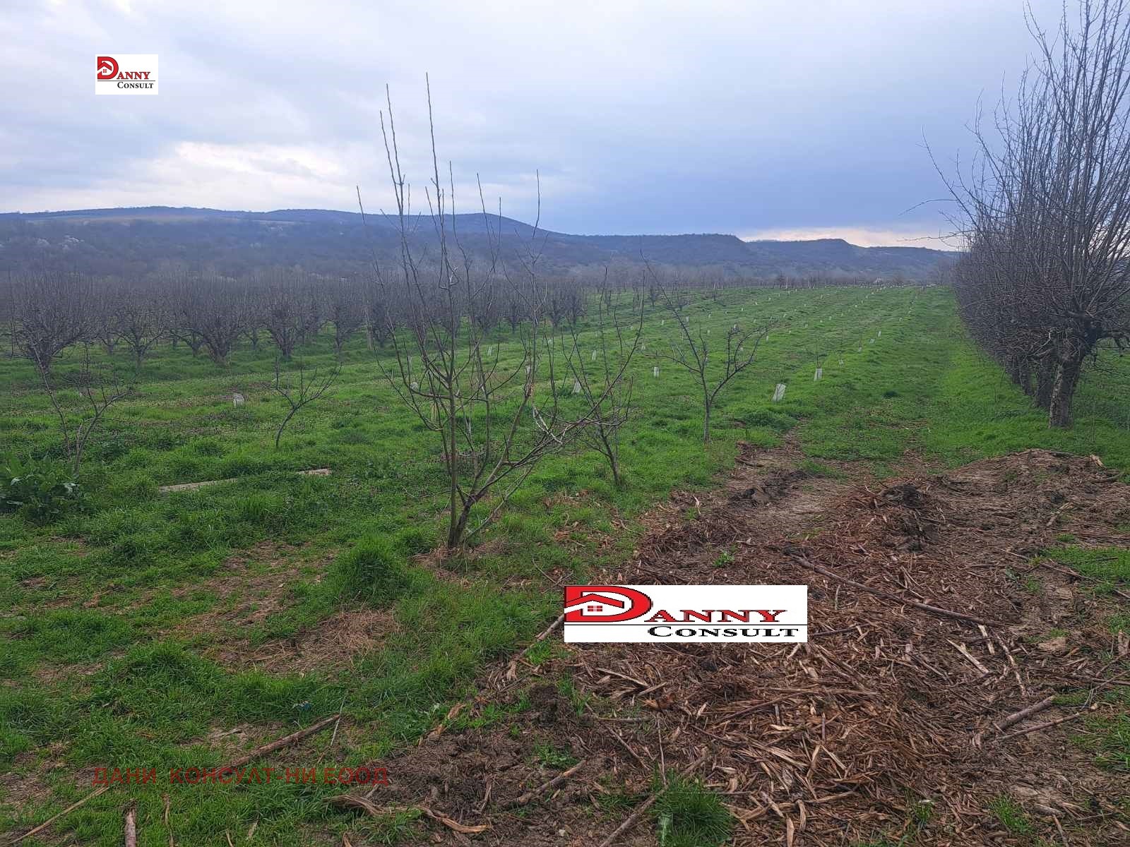 Продава ЗЕМЕДЕЛСКА ЗЕМЯ, с. Раданово, област Велико Търново, снимка 3 - Земеделска земя - 54143619