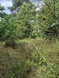 Продава ПАРЦЕЛ, с. Зорница, област Варна, снимка 3