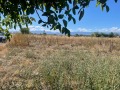 Продава ЗЕМЕДЕЛСКА ЗЕМЯ, с. Скутаре, област Пловдив, снимка 2