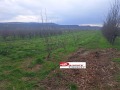 Продава ЗЕМЕДЕЛСКА ЗЕМЯ, с. Раданово, област Велико Търново, снимка 3