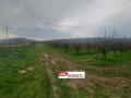 Продава ЗЕМЕДЕЛСКА ЗЕМЯ, с. Раданово, област Велико Търново, снимка 8