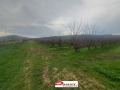 Продава ЗЕМЕДЕЛСКА ЗЕМЯ, с. Раданово, област Велико Търново, снимка 5