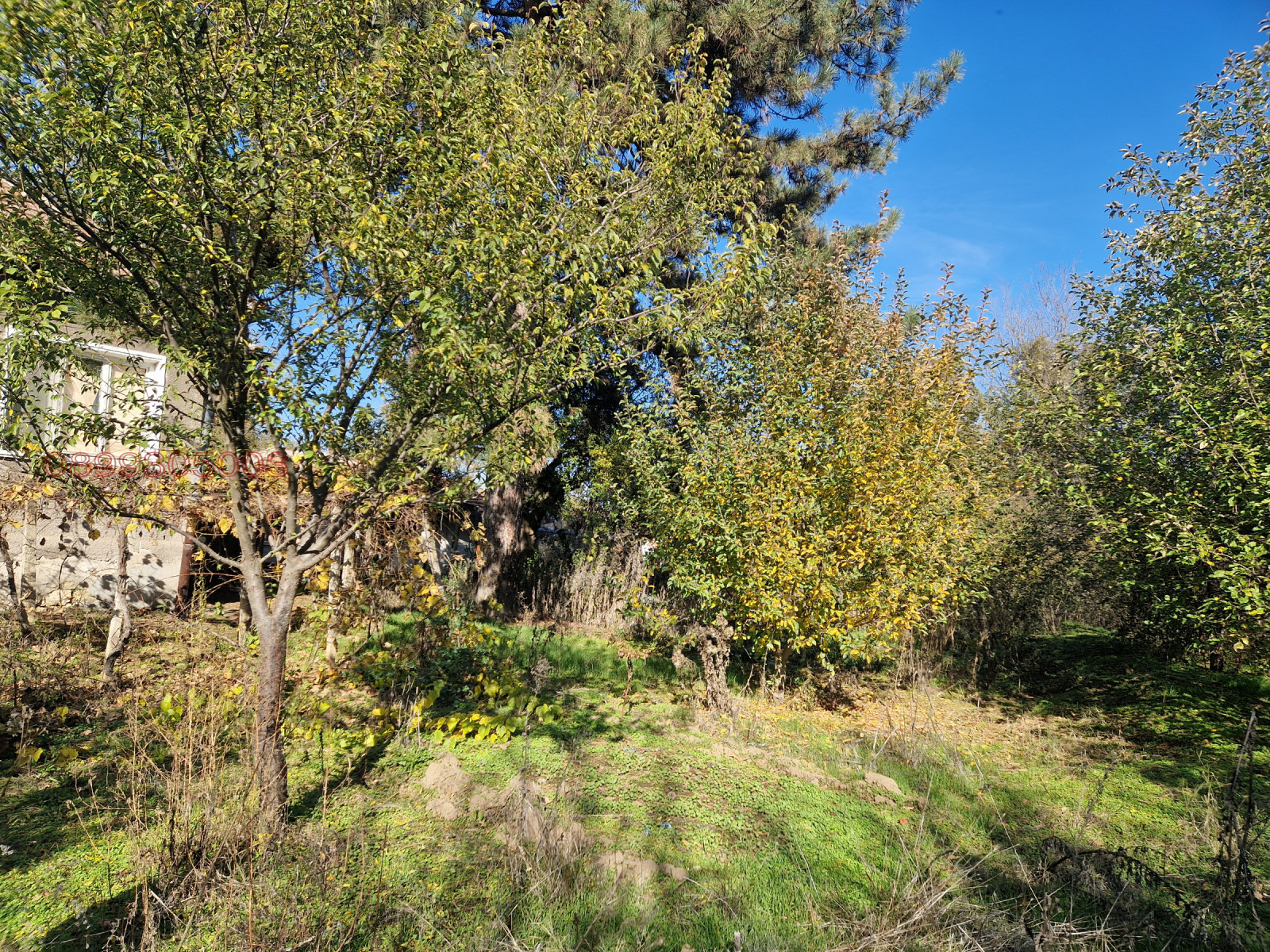 ������� ���� | Imot.bg � ����������� 2