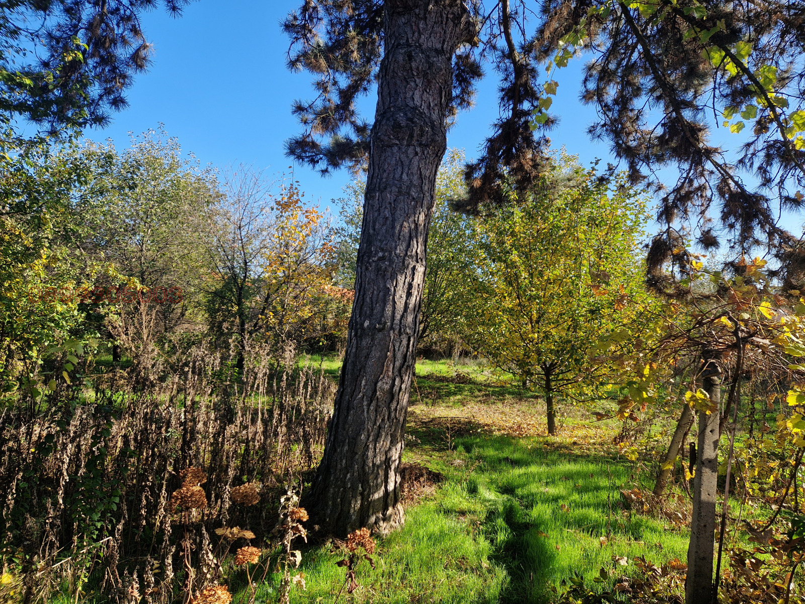 ������� ���� | Imot.bg � ����������� 5