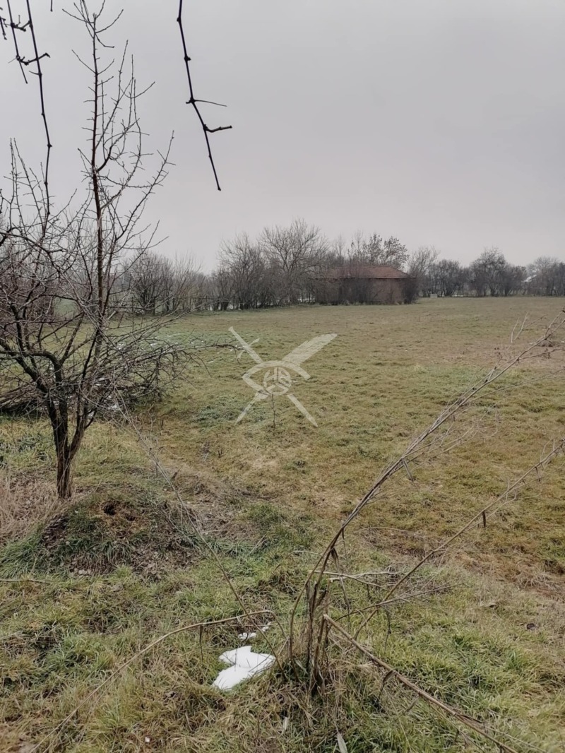 Eladó  Cselekmény régió Burgasz , Tankovo , 758 négyzetméter | 41062406
