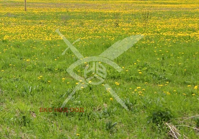 Продава  Парцел област Пловдив , с. Маноле , 1120 кв.м | 80647532