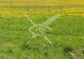 Продава ПАРЦЕЛ, област Пловдив, с. Маноле • 22000 € • 83132096 — Holmes.bg