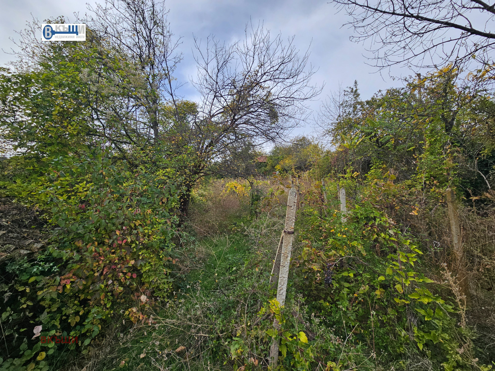 ������� ���� | Imot.bg � ����������� 9