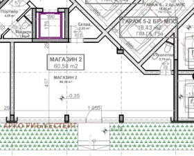 ����� ������� �������,���� �����, ���� �����