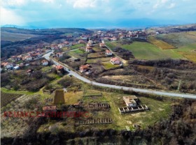 ������ ������� ������