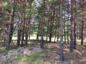 ������� ������ | Imot.bg � ����� ������ 9