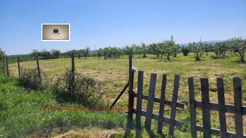 Продаја  Плот регион Велико Тарново , Белјаковец , 2700 м2 | 95496188 - слика [6]